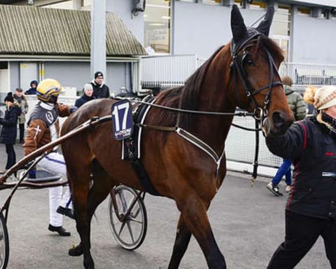 Quinté du dimanche 16 novembre 2025 à Vincennes: les pronostics