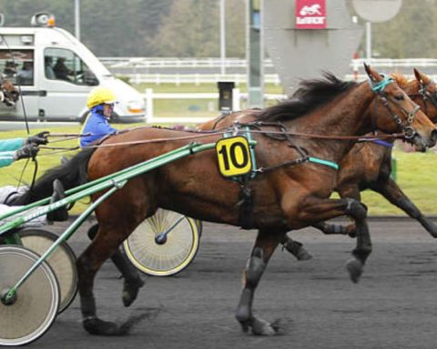 Quinté du lundi 17 novembre 2025 à Vincennes: les pronostics
