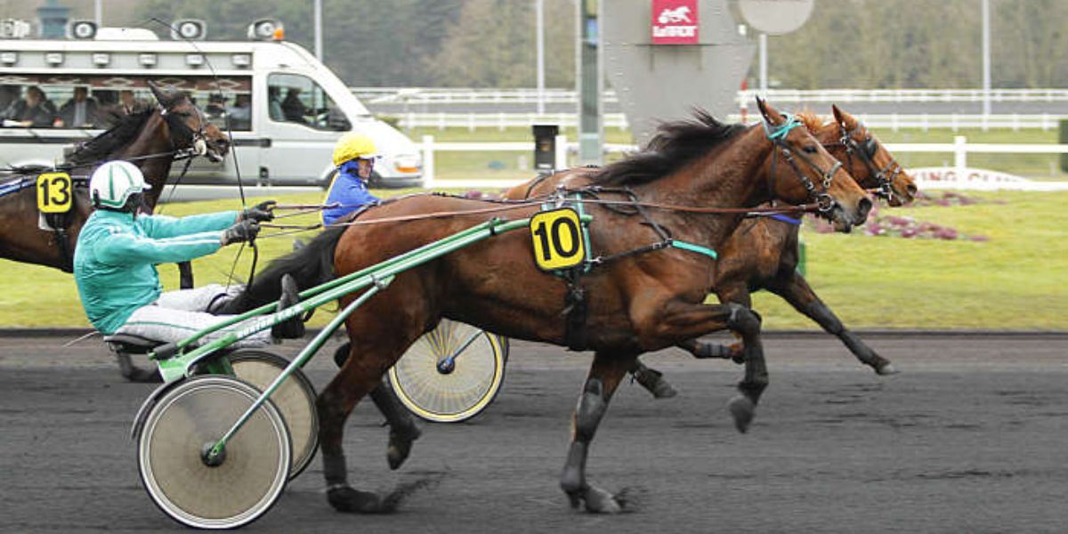 Quinté du lundi 17 novembre 2025 à Vincennes: les pronostics