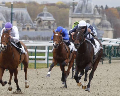 Quinté du mardi 18 novembre 2025 à Chantilly: les pronostics