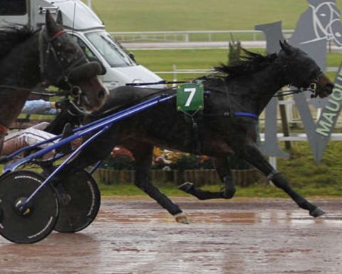 Quinté du mercredi 19 novembre 2025 à Mauquenchy: les pronostics