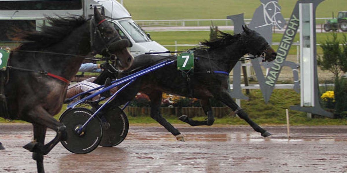 Quinté du mercredi 19 novembre 2025 à Mauquenchy: les pronostics