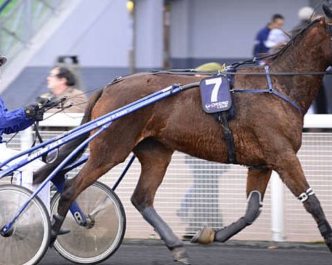 Quinté du jeudi 20 novembre 2025 à Vincennes: les pronostics