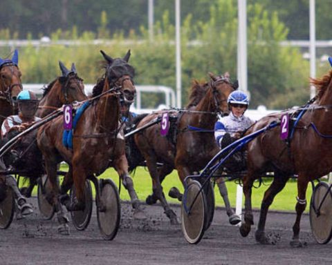 Quinté du vendredi 21 novembre 2025 à Vincennes: les pronostics