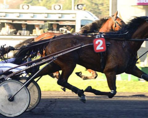 Quinté du samedi 22 novembre 2025 à Vincennes: les pronostics