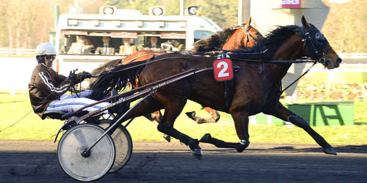 Quinté du samedi 22 novembre 2025 à Vincennes: les pronostics