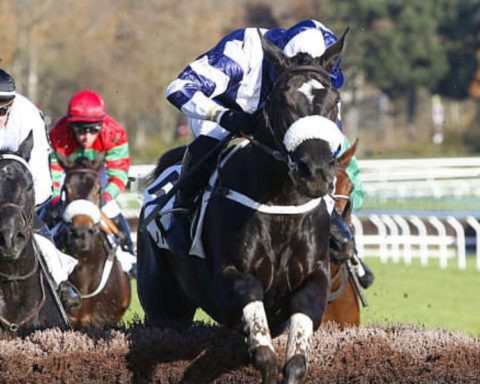 Quinté du dimanche 23 novembre 2025 à Auteuil: les pronostics