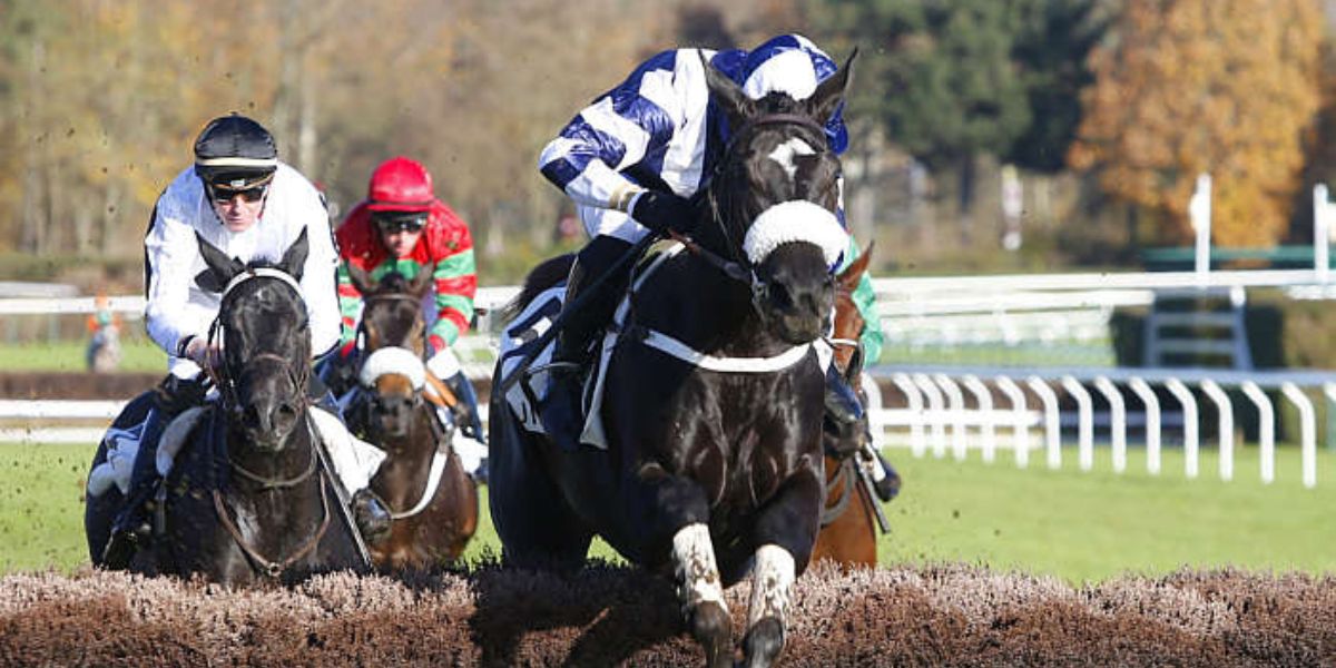 Quinté du dimanche 23 novembre 2025 à Auteuil: les pronostics