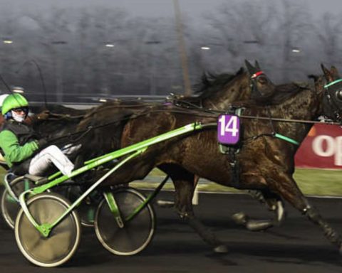 Quinté du lundi 24 novembre 2025 à Vincennes: les pronostics