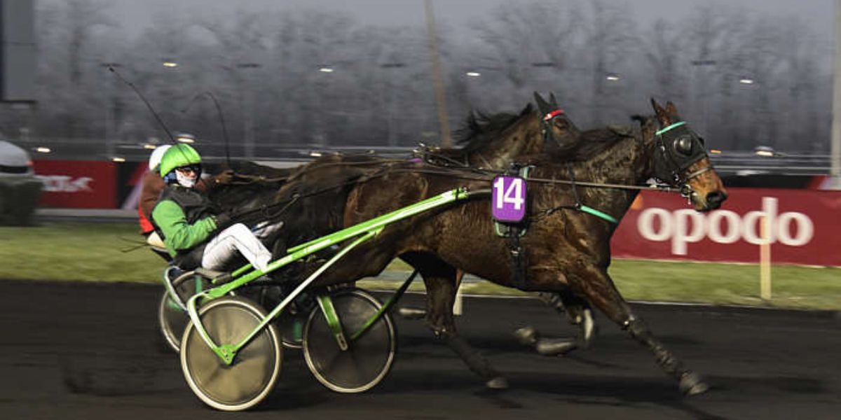 Quinté du lundi 24 novembre 2025 à Vincennes: les pronostics