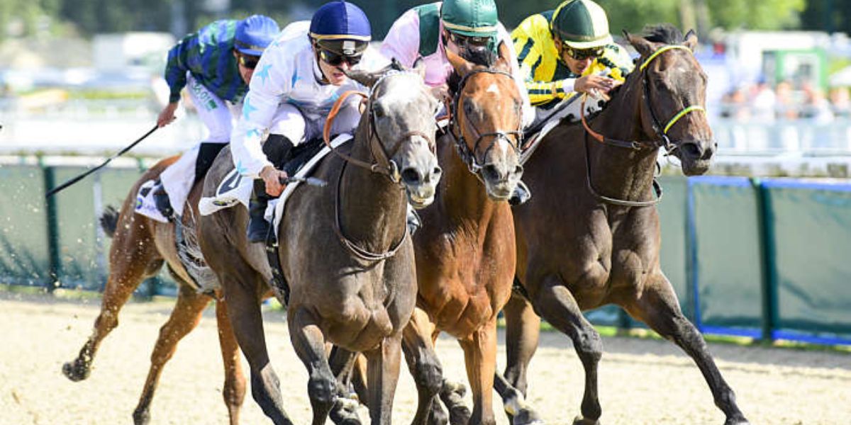 Quinté du mardi 25 novembre 2025 à Deauville: les pronostics