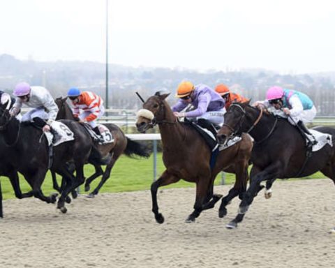 Quinté du mercredi 26 novembre 2025 à Deauville: les pronostics