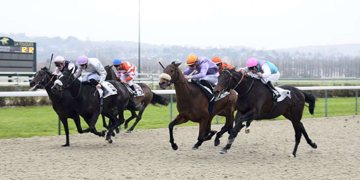 Quinté du mercredi 26 novembre 2025 à Deauville: les pronostics