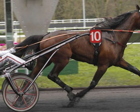 Quinté du jeudi 27 novembre 2025 à Vincennes: les pronostics