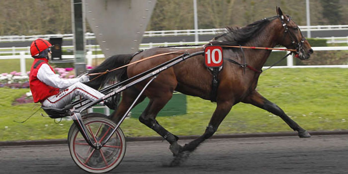 Quinté du jeudi 27 novembre 2025 à Vincennes: les pronostics