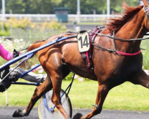 Quinté du vendredi 28 novembre 2025 à Vincennes: les pronostics