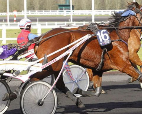 Quinté du samedi 29 novembre 2025 à Vincennes: les pronostics