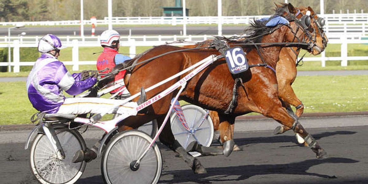 Quinté du samedi 29 novembre 2025 à Vincennes: les pronostics