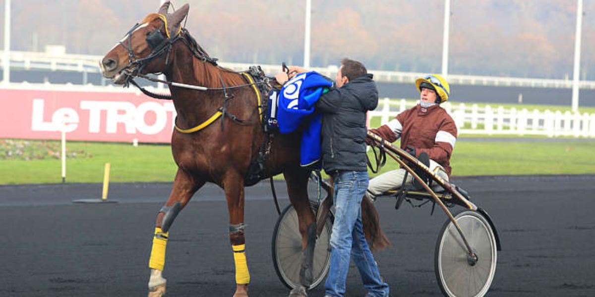 Quinté du dimanche 30 novembre 2025 à Vincennes: les pronostics