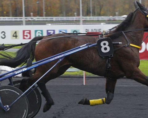 Quinté du jeudi 1er janvier 2026 à Vincennes: les pronostics