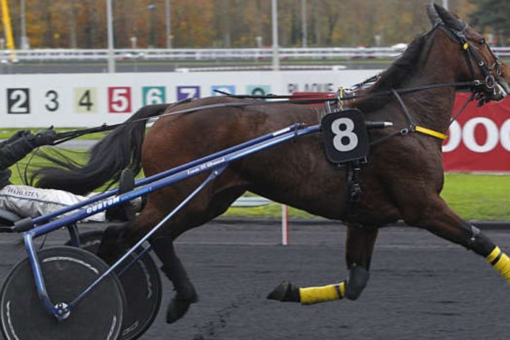 Quinté du jeudi 1er janvier 2026 à Vincennes: les pronostics