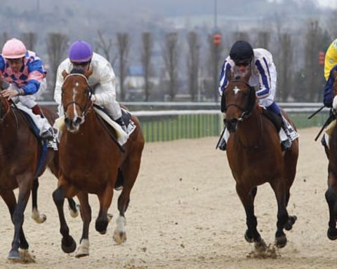 Quinté du vendredi 2 janvier 2026 à Deauville: les pronostics