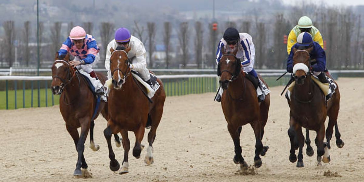 Quinté du vendredi 2 janvier 2026 à Deauville: les pronostics