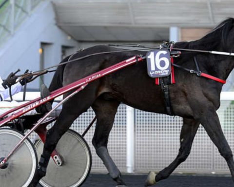 Quinté du samedi 3 janvier 2026 à Vincennes: les pronostics