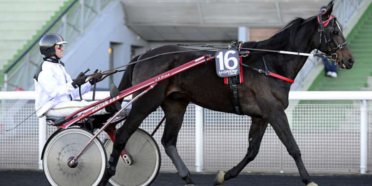 Quinté du samedi 3 janvier 2026 à Vincennes: les pronostics