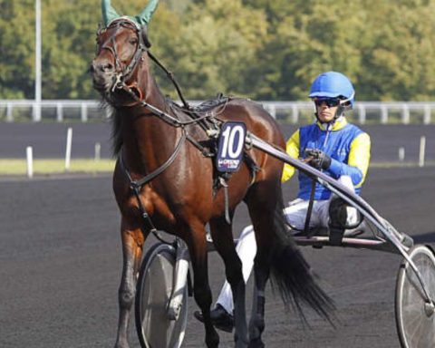 Quinté du mercredi 3 décembre 2025 à Vincennes: les pronostics