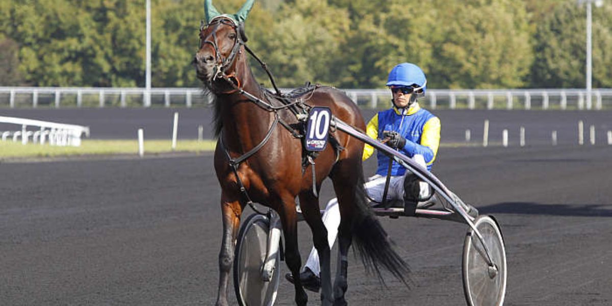 Quinté du mercredi 3 décembre 2025 à Vincennes: les pronostics