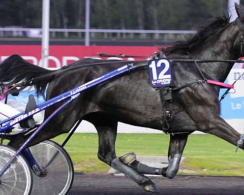 Quinté du jeudi 4 décembre 2025 à Vincennes: les pronostics