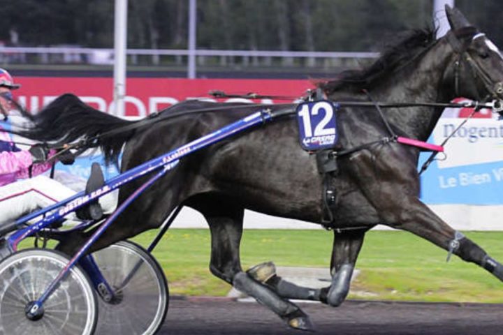 Quinté du jeudi 4 décembre 2025 à Vincennes: les pronostics