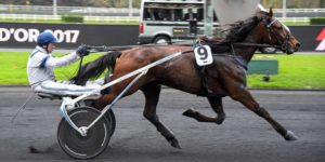 Quinté du vendredi 5 décembre 2025 à Vincennes: les pronostics