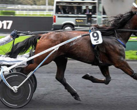 Quinté du vendredi 5 décembre 2025 à Vincennes: les pronostics