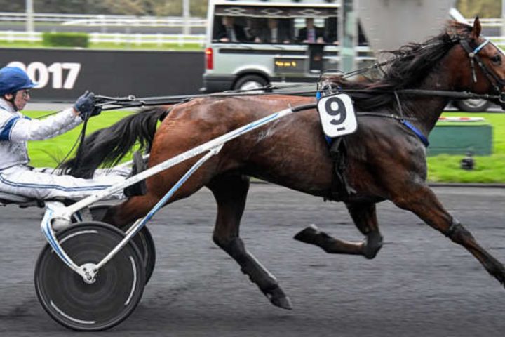 Quinté du vendredi 5 décembre 2025 à Vincennes: les pronostics