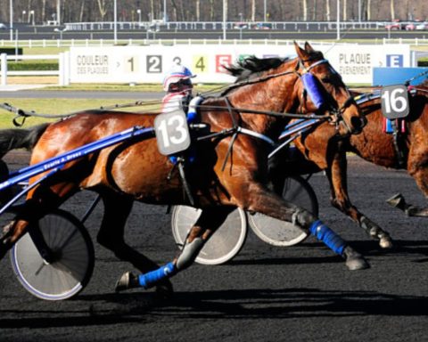 Quinté du dimanche 7 décembre 2025 à Vincennes: les pronostics
