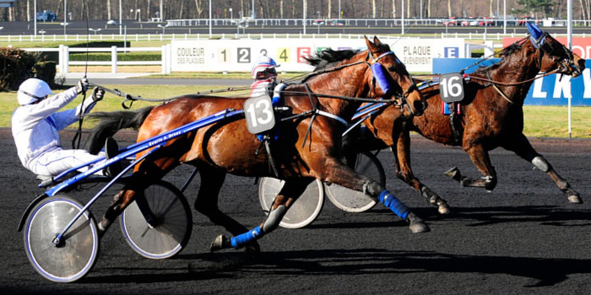 Quinté du dimanche 7 décembre 2025 à Vincennes: les pronostics