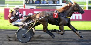 Quinté du mercredi 10 décembre 2025 à Vincennes: les pronostics