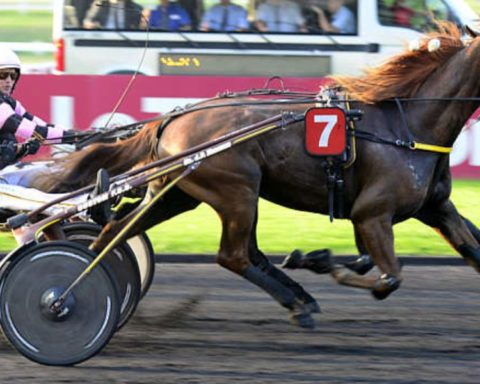 Quinté du mercredi 10 décembre 2025 à Vincennes: les pronostics