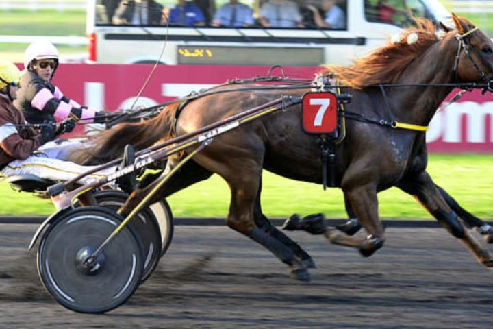 Quinté du mercredi 10 décembre 2025 à Vincennes: les pronostics