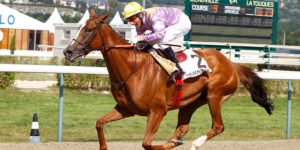 Quinté du jeudi 11 décembre 2025 à Chantilly: les pronostics