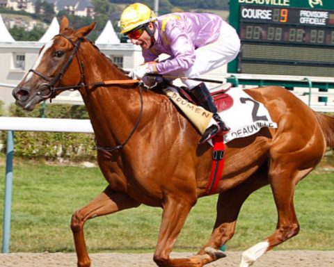 Quinté du jeudi 11 décembre 2025 à Chantilly: les pronostics