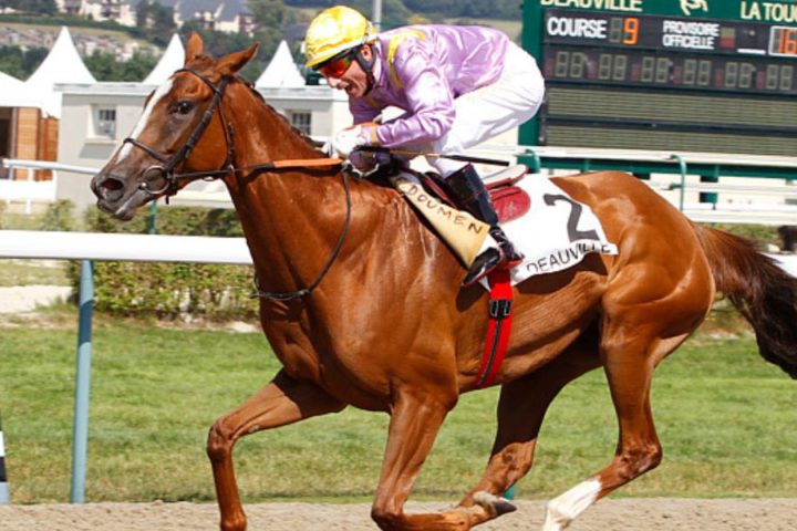 Quinté du jeudi 11 décembre 2025 à Chantilly: les pronostics