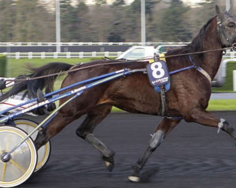 Quinté du samedi 13 décembre 2025 à Vincennes: les pronostics