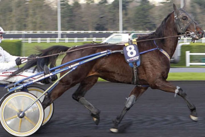Quinté du samedi 13 décembre 2025 à Vincennes: les pronostics