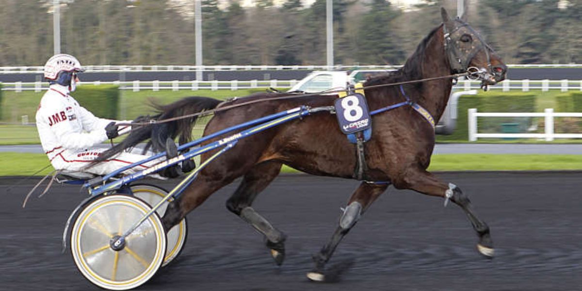 Quinté du samedi 13 décembre 2025 à Vincennes: les pronostics