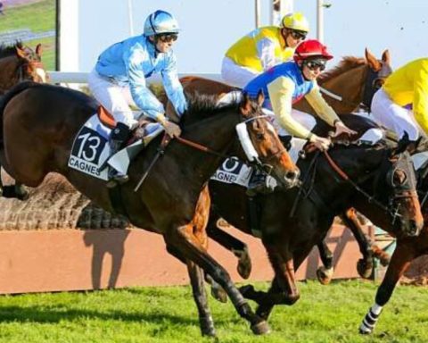 Quinté du lundi 15 décembre 2025 à Cagnes: les pronostics