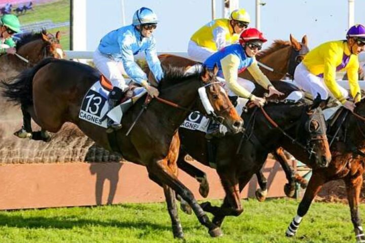 Quinté du lundi 15 décembre 2025 à Cagnes: les pronostics