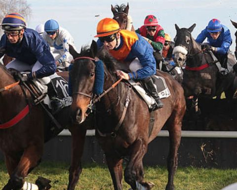 Quinté du mardi 16 décembre 2025 à Pau: les pronostics